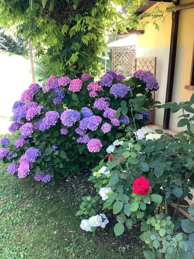 Il Mulino Di Geminella Apartment Narzole ภายนอก รูปภาพ