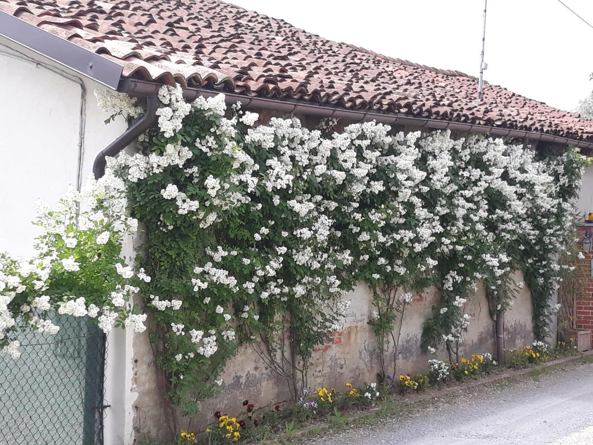 Il Mulino Di Geminella Apartment Narzole ภายนอก รูปภาพ